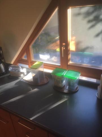 Kleines Haus Silberdistel Apartment Todtmoos Luaran gambar